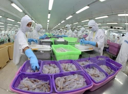 Hướng đi riêng cho tôm Việt