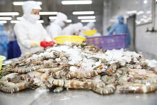 Xuất khẩu tôm sang EU quý I/2025 khởi sắc: Cơ hội đa dạng thị trường trước chính sách thuế quan từ Mỹ