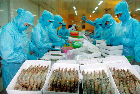 Xuất khẩu tôm: Cần xây dựng thương hiệu gắn với chất lượng