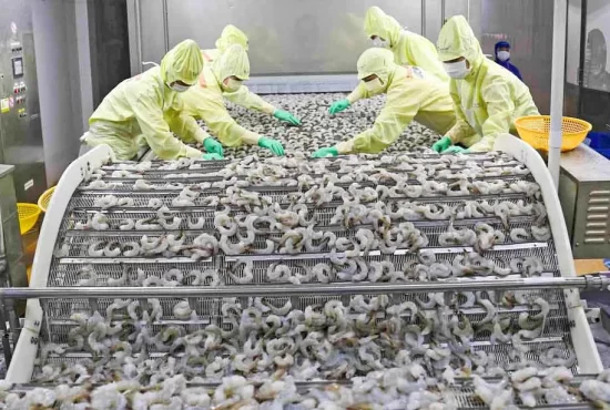 Tôm Việt Nam chinh phục các thị trường lớn, hướng tới mục tiêu 4 tỷ USD
