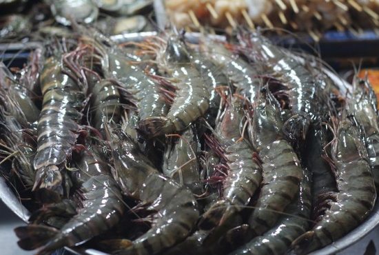 Doanh nghiệp xuất khẩu tôm rẽ khỏi lối cũ