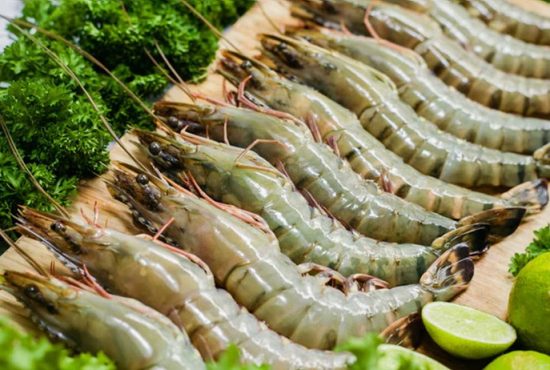 Xuất khẩu tôm Việt Nam sang Nhật Bản: Lợi thế truyền thống và áp lực từ đối thủ cạnh tranh