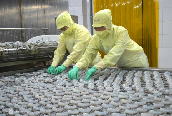 Vì sao tôm Việt có giá đắt nhất trên đất Mỹ?