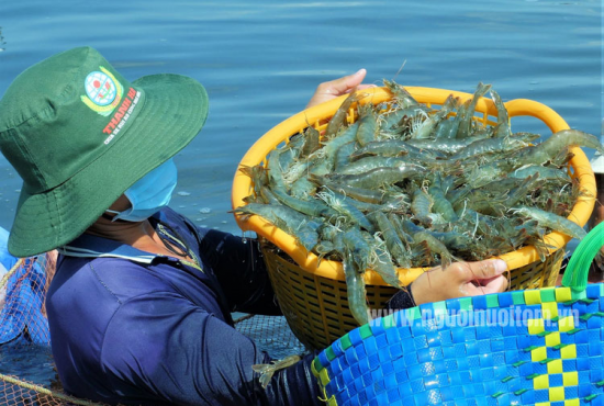 Nâng cao năng lực cạnh tranh cho các ngành hàng chịu tác động từ thuế đối ứng của Hoa Kỳ