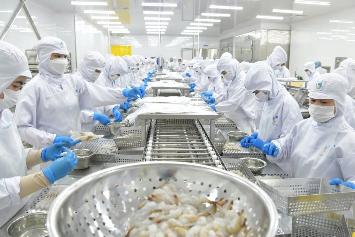 Thủy sản Việt Nam: Vượt sóng xuất khẩu, chật vật tiêu thụ nội địa