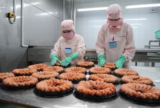 Tôm Việt Nam bứt phá tại thị trường Trung Quốc
