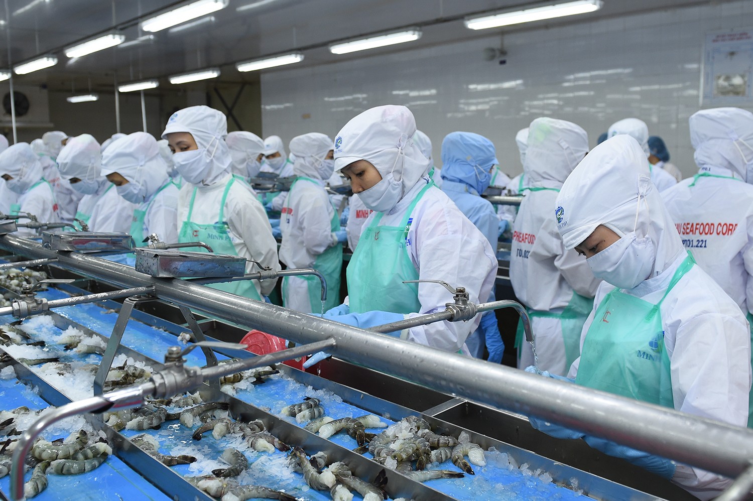 GIỮ VỮNG ĐÀ TĂNG TRƯỞNG XUẤT KHẨU TÔM TRONG BỐI CẢNH THỊ TRƯỜNG BIẾN ĐỘNG