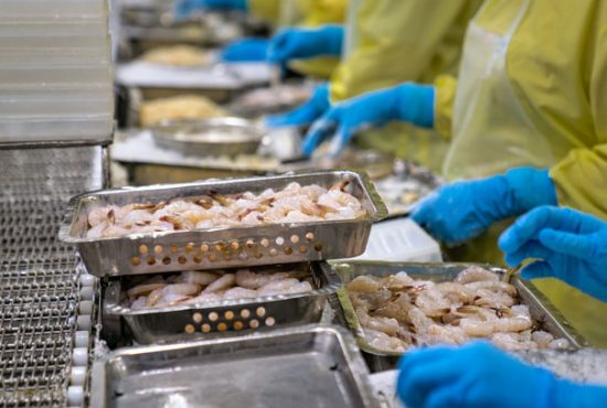 Hoàn thiện chuỗi cung ứng – con đường tất yếu để tôm Việt giữ vững vị thế trên thị trường EU