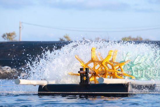 Chuyển đổi số: Đổi mới quản lý trong nuôi tôm