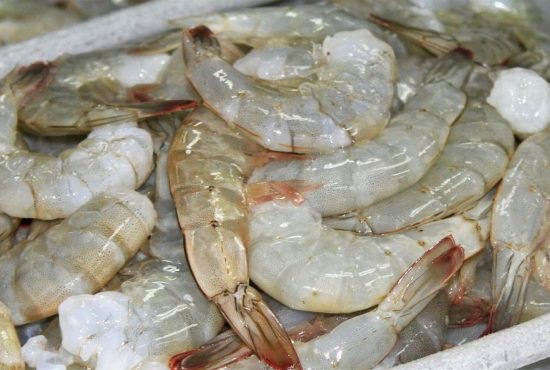 Tôm Việt giữ vị trí thứ 3 tại EU – cạnh tranh mạnh với Ecuador và Ấn Độ