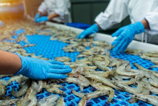 Ngành tôm Việt Nam bứt phá, hướng tới mục tiêu xuất khẩu 3,8 tỷ USD năm 2025