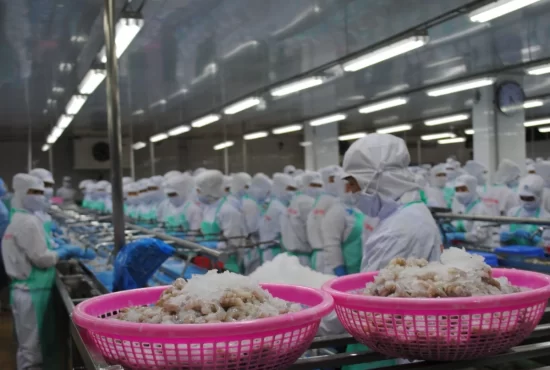 Xuất khẩu tôm 11 tháng: Giữ vững thị trường, duy trì đà tăng trưởng trước áp lực thương mại