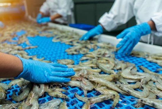 Thuế chống bán phá giá hạ nhiệt, tôm Việt Nam gia tăng lợi thế tại thị trường Mỹ