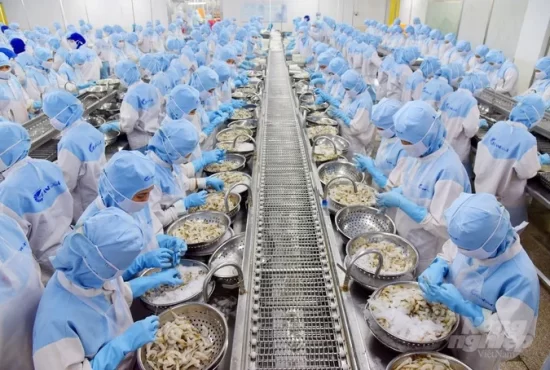 Xuất khẩu tôm trước áp lực thuế: Trung Quốc trở thành động lực tăng trưởng mới