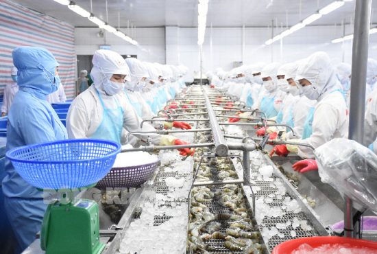 Thủy sản Việt Nam đứng trước cơ hội vượt mốc 12 tỷ USD xuất khẩu