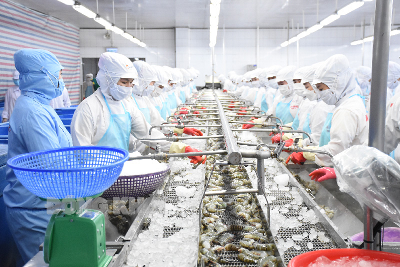 Thủy sản Việt Nam đứng trước cơ hội vượt mốc 12 tỷ USD xuất khẩu