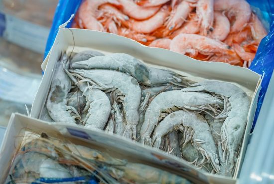 Nhập khẩu tôm Trung Quốc phục hồi mạnh: Tín hiệu tích cực cho tôm Việt 