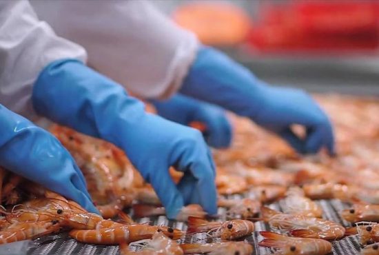 Xuất khẩu tôm sang Hoa Kỳ và Trung Quốc bứt phá trong tháng 6, Trung Quốc tiếp tục dẫn dắt đà tăng trưởng