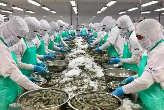 Xuất khẩu thủy sản nửa cuối năm: Nhiều dư địa tăng tốc
